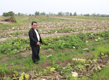 วันที่ 19 มีนาคม 2567 ... Image 3